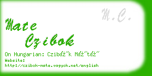 mate czibok business card